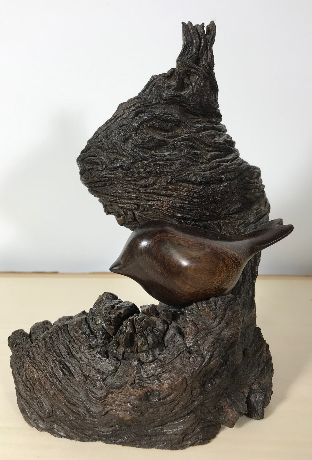 Firtch - Bird on Burl