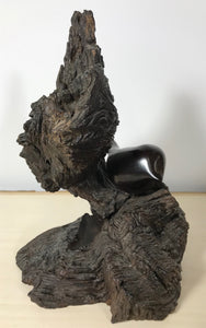 Firtch - Bird on Burl