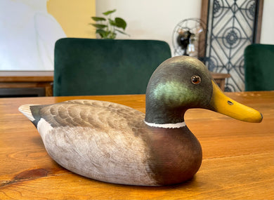 Hai Fing Ma - Painted Mallard